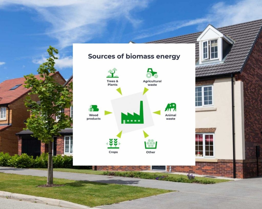 biomass energy sources explained 